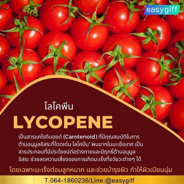 ไลโคพีน Lycopene กิฟฟารีน