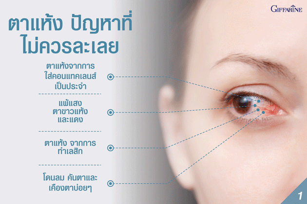 Giffarine Aqua Tear,ลดอาหารตาแห้ง,ช่วยให้ตาชุ่มชื้น,ลดอาการคันและเคืองตา,ลดการใช้น้ำตาเทียม