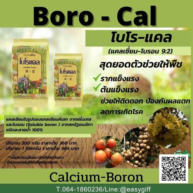 Calcium-Boron ธาตุรอง-เสริม,โบโรแคล,แคลเซี่ยม-โบรอน กิฟฟารีน