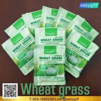 วีทกราส กิฟฟารีน Wheat grass ต้นอ่อนข้าวสาลีเพื่อสุขภาพที่ดีของคุณ
