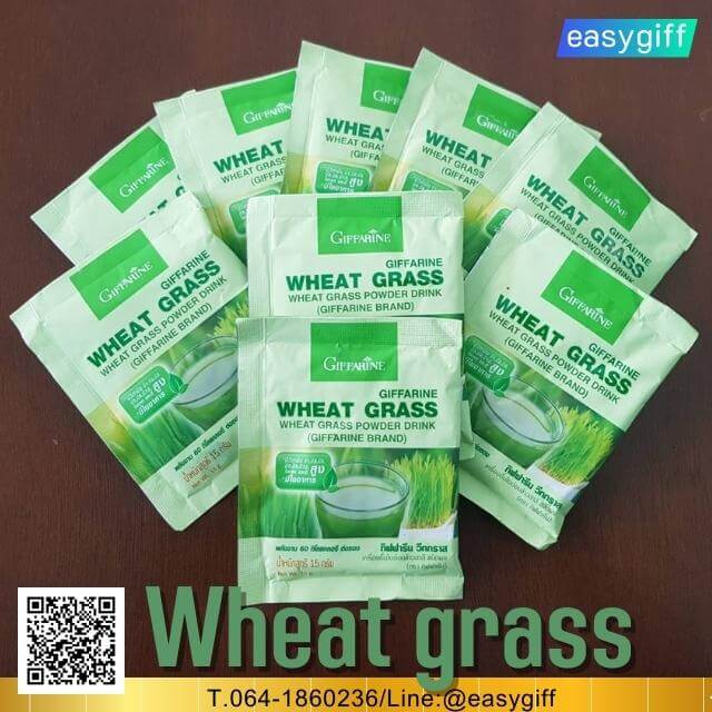 วีทกราส กิฟฟารีน Wheat grass